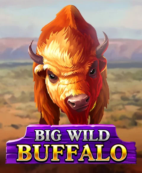 Play Big Wild Buffalo at Royal Ace Casino